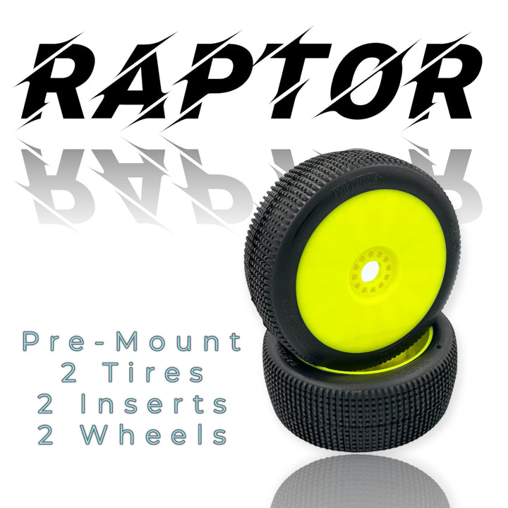 Pro-Motion Raptor 8th Scale Buggy Pre-Mount image 1