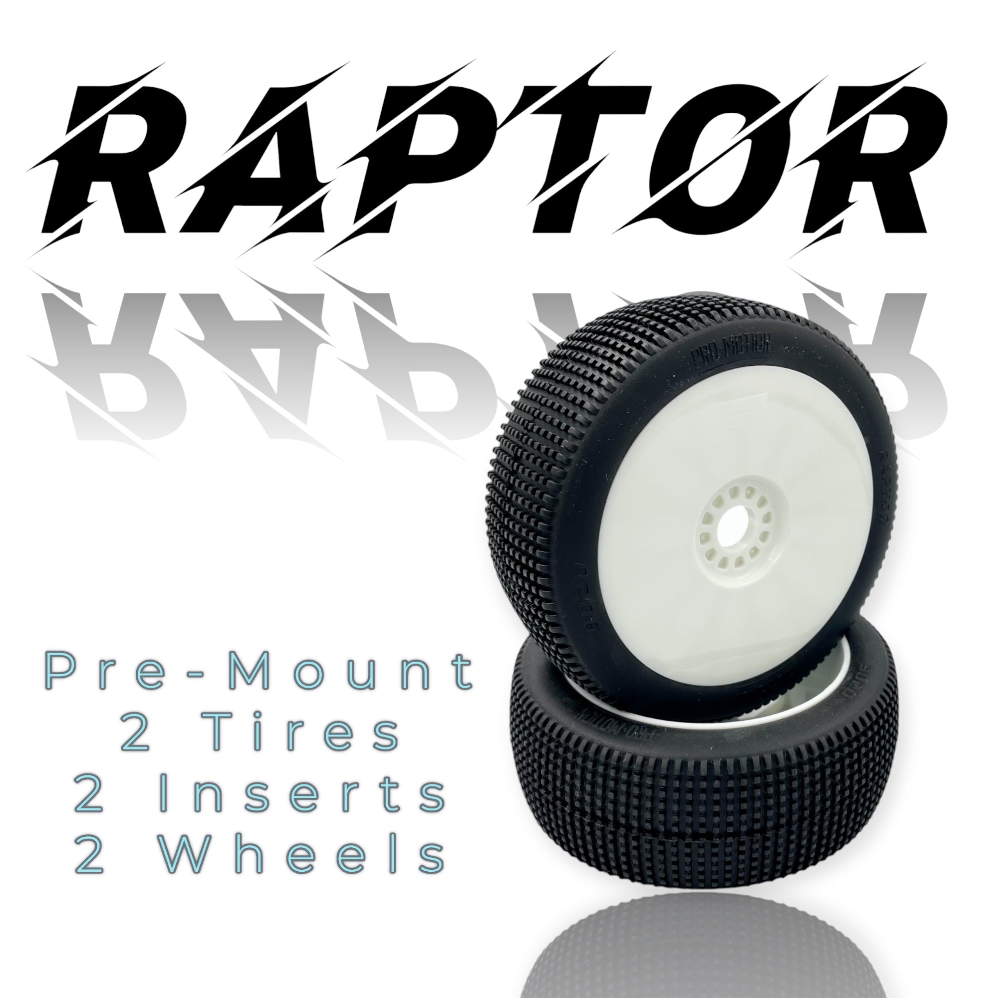 Pro-Motion Raptor 8th Scale Buggy Pre-Mount image 0
